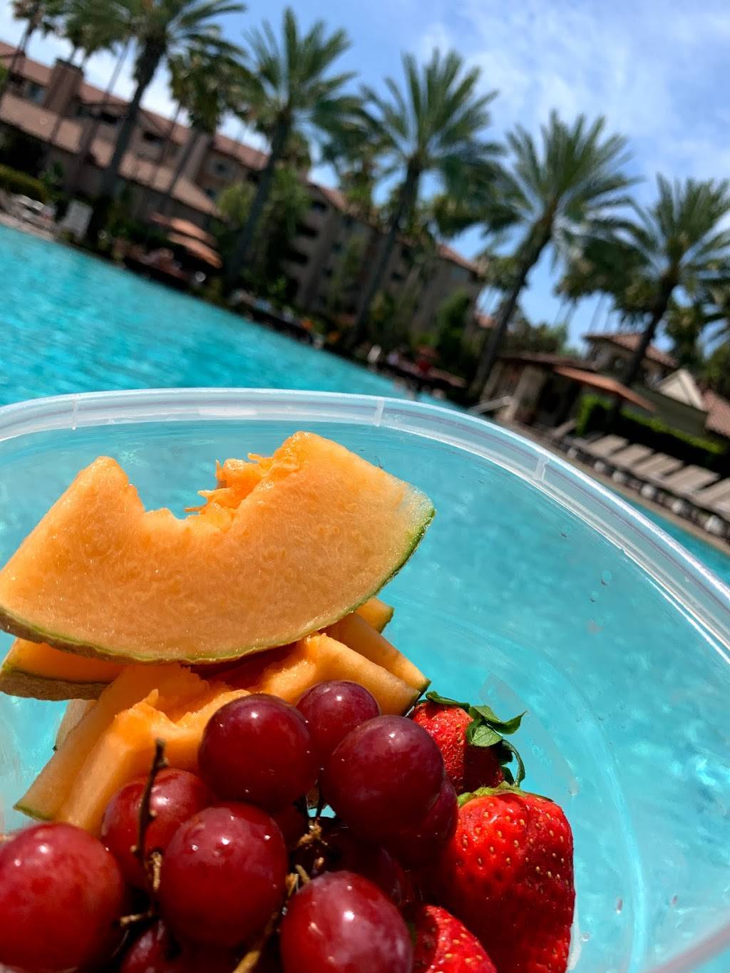 Vivant Bistro & Craft Bar | restaurant | 6554 Ambrosia Dr, San Diego, CA 92124, USA | 6195162365 OR +1 619-516-2365