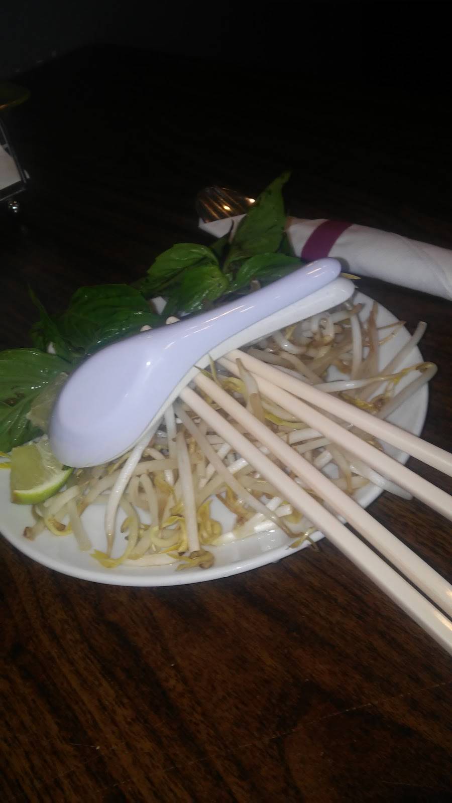 Vietnamese Top Noodles | restaurant | 501 1st St NW, Austin, MN 55912, USA | 5073962144 OR +1 507-396-2144