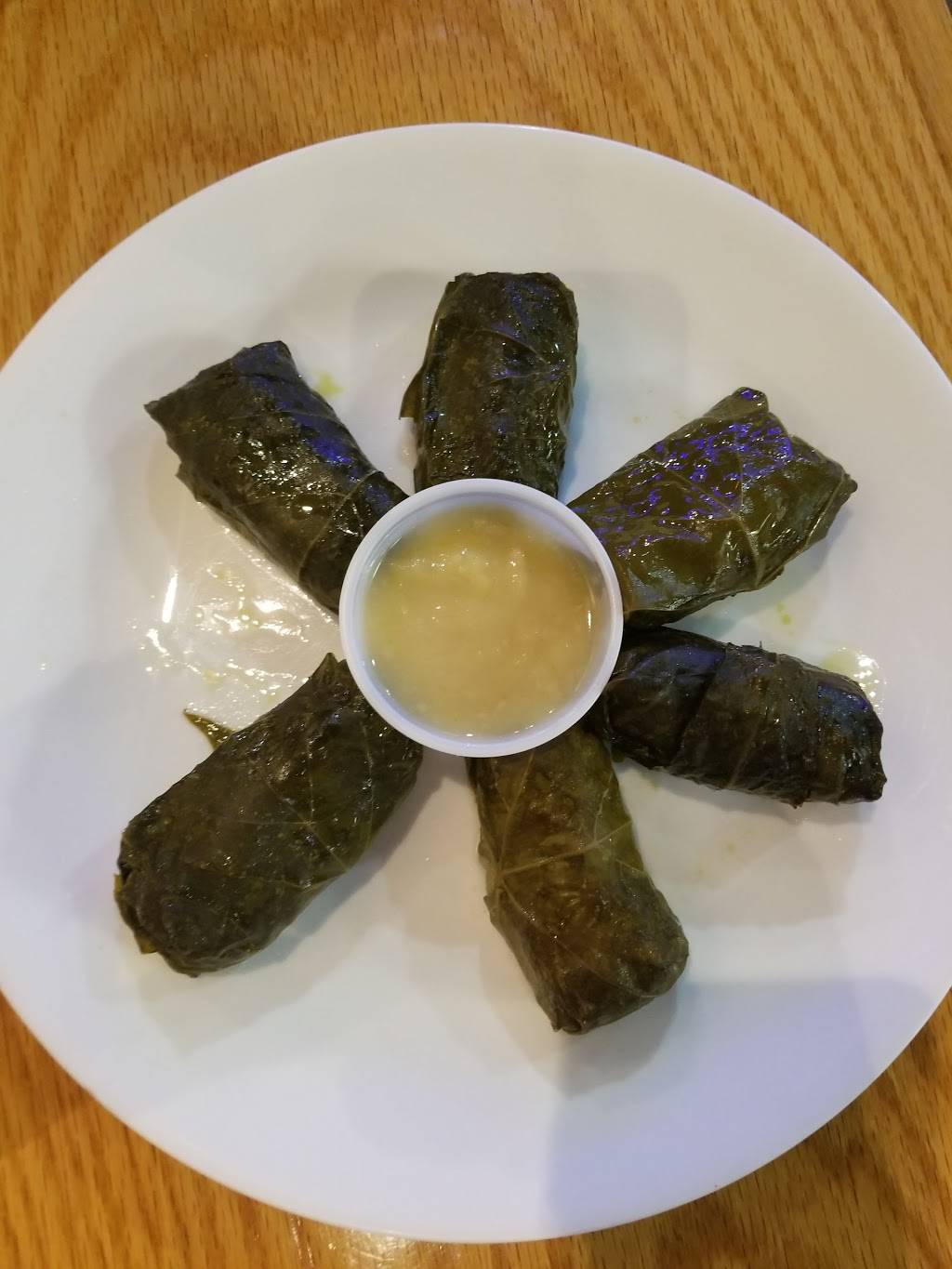 Little Greek | restaurant | 15225 Dale Mabry Hwy, Tampa, FL 33618, USA | 8133748822 OR +1 813-374-8822