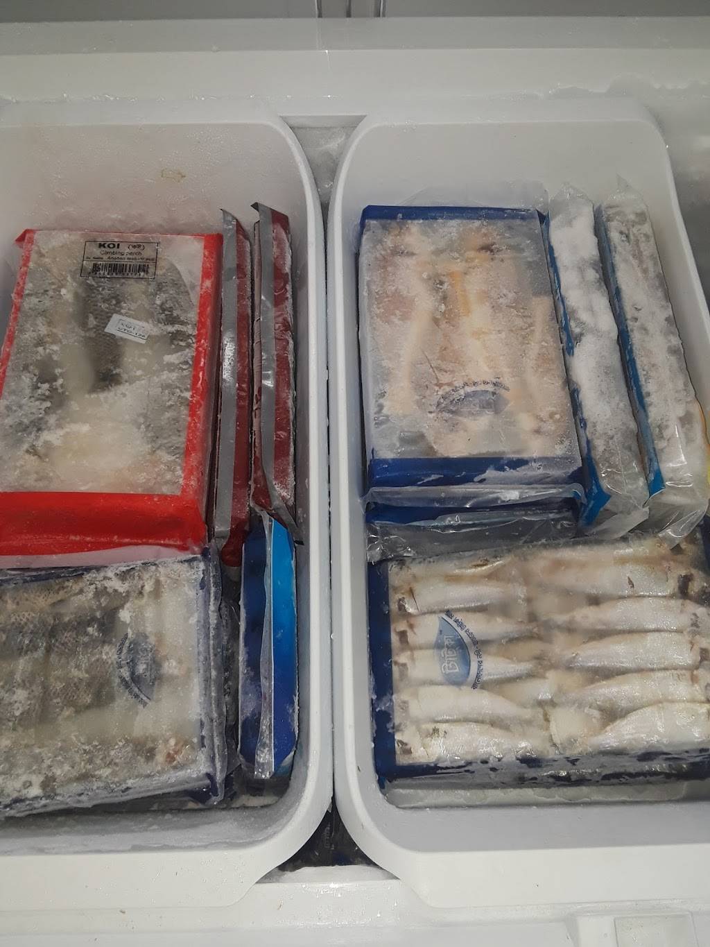 Royal Halal Meat & Fish Supermarket | restaurant | 11913 Bissonnet St, Houston, TX 77099, USA | 2815619464 OR +1 281-561-9464