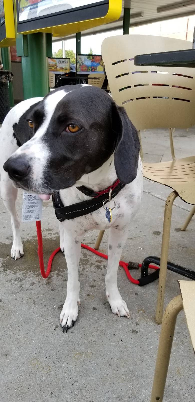 Sonic Drive-In | restaurant | 8501 151st St, Stanley, KS 66223, USA | 9136853600 OR +1 913-685-3600