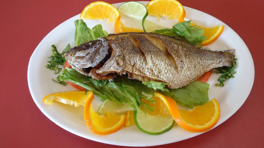 Elenas | restaurant | 5 W Tremont Ave, Bronx, NY 10453, USA | 9177377100 OR +1 917-737-7100