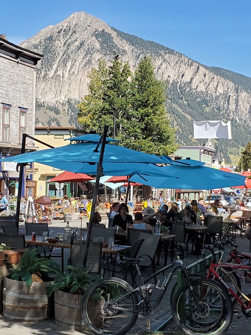 Ryce Asian Bistro | restaurant | 120 Elk Ave, Crested Butte, CO 81224, USA | 9703499888 OR +1 970-349-9888