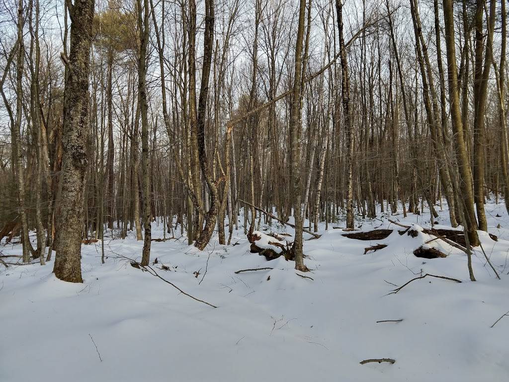 Maple Corner Farm | restaurant | 794 Beech Hill Rd, Granville, MA 01034, USA | 4133578829 OR +1 413-357-8829