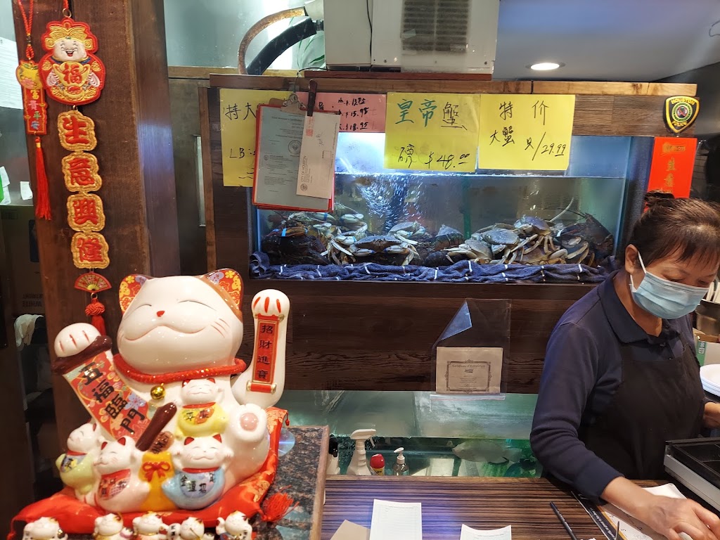 Lucky Dragon | restaurant | 9264 Bellaire Blvd, Houston, TX 77036, USA | 7136405273 OR +1 713-640-5273