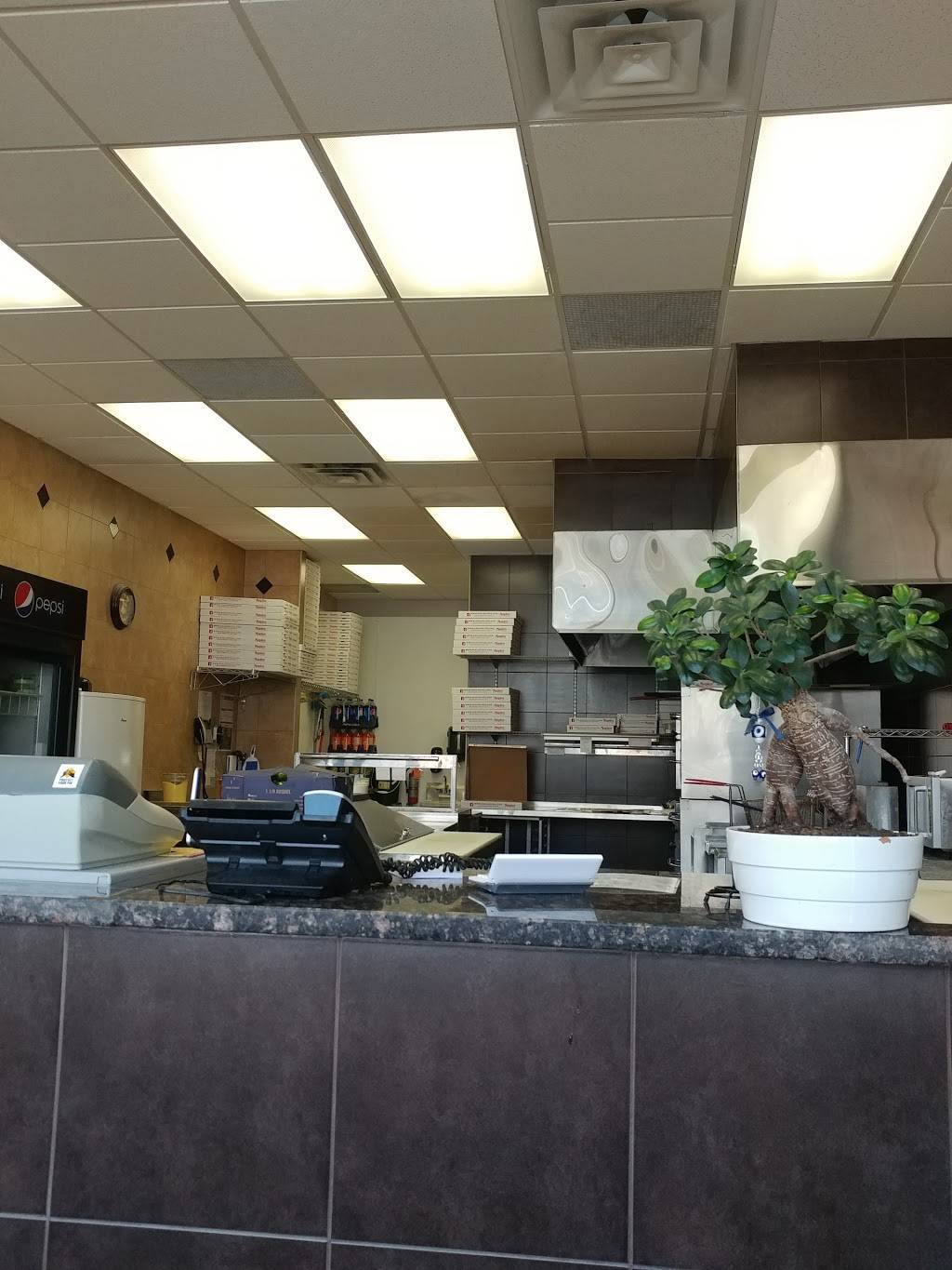 Naples Pizza | meal takeaway | 1171 Lauzon Rd, Windsor, ON N8S 3M9, Canada | 5199749666 OR +1 519-974-9666