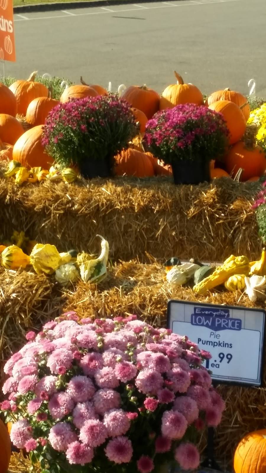 Mudd Valley Cafe & Creamery | restaurant | 2641 OH-39, Sugarcreek, OH 44681, USA | 3308522888 OR +1 330-852-2888