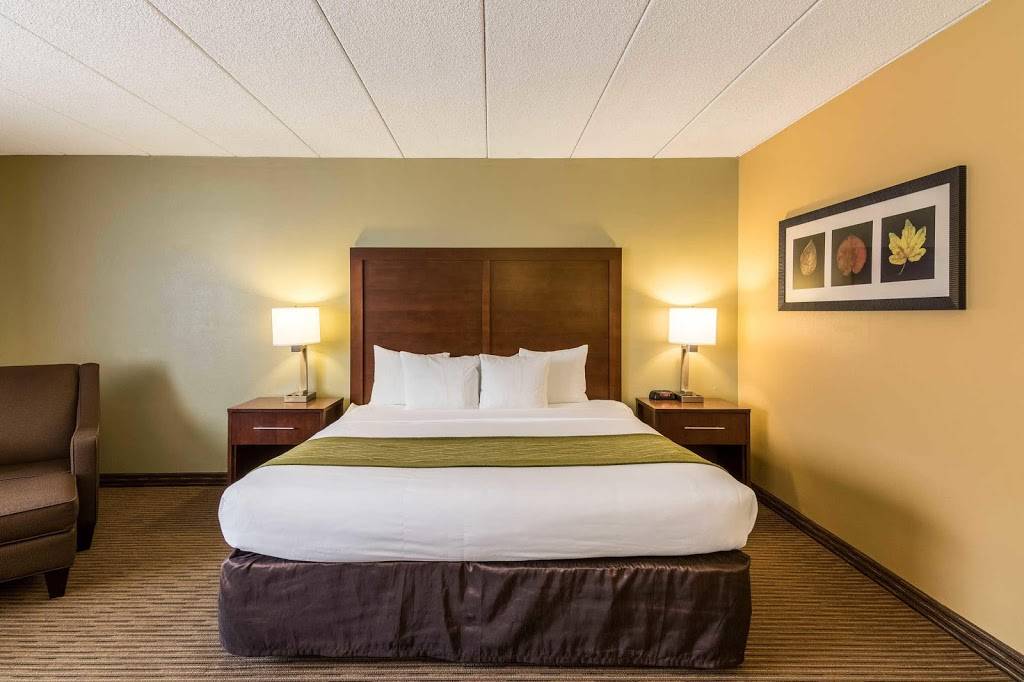 Comfort Inn | restaurant | 3000 Harbor Ln N, Plymouth, MN 55447, USA | 7635591222 OR +1 763-559-1222