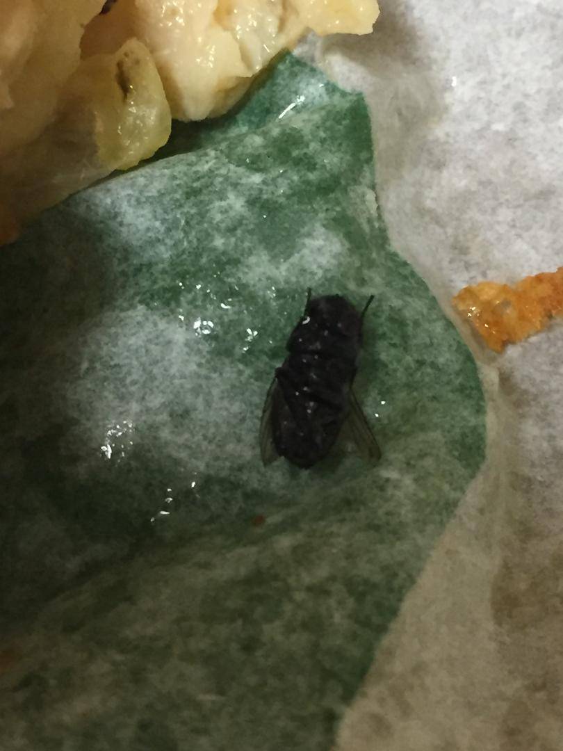 Subway | restaurant | 2100 8th Ave S, Nashville, TN 37204, USA | 6153851011 OR +1 615-385-1011