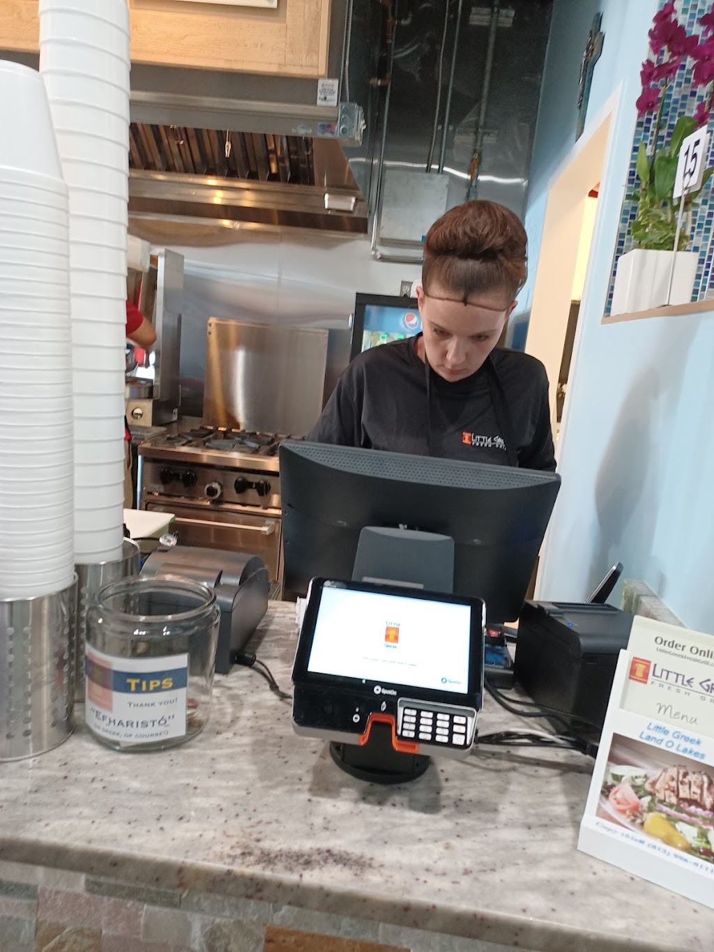 Little Greek Fresh Grill | restaurant | 7810 Land O Lakes Blvd, Land O Lakes, FL 34638, USA | 8139960111 OR +1 813-996-0111