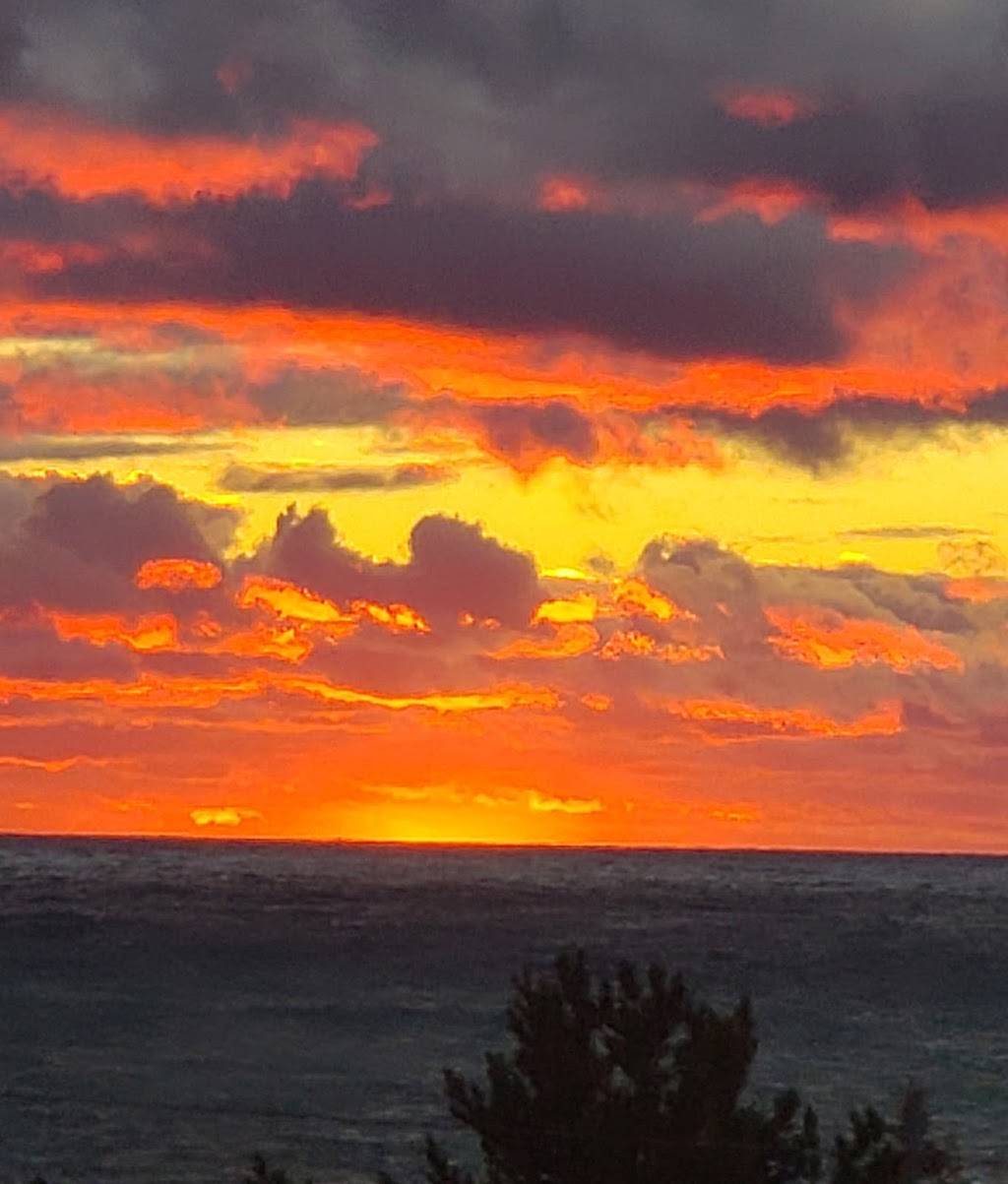 Culvers | restaurant | 1264 U.S. 31 N, Petoskey, MI 49770, USA | 2317532036 OR +1 231-753-2036