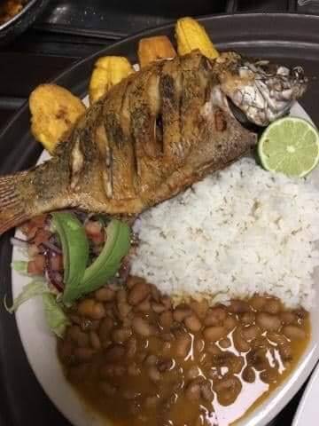 El Paraiso Restaurant & lounge | restaurant | Monsey, NY 10952, USA | 8453523966 OR +1 845-352-3966