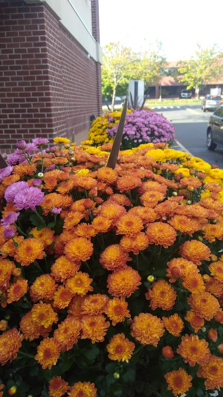 Copps Hill Plaza | shopping mall | 125 Danbury Rd, Ridgefield, CT 06877, USA | 2036355560 OR +1 203-635-5560