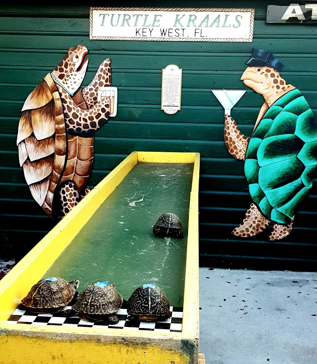 Turtle Kraals | restaurant | 220 Margaret St, Key West, FL 33040, USA | 3052942640 OR +1 305-294-2640
