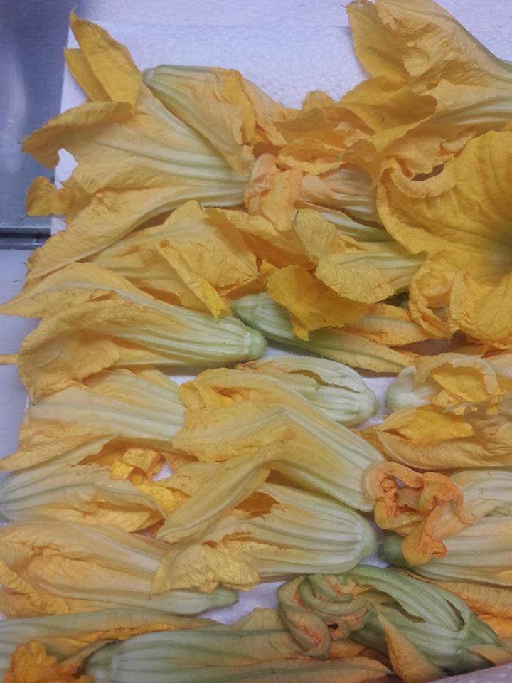 Tacos Quintero | restaurant | 15 Welton St, Waterbury, CT 06702, USA | 2035193781 OR +1 203-519-3781