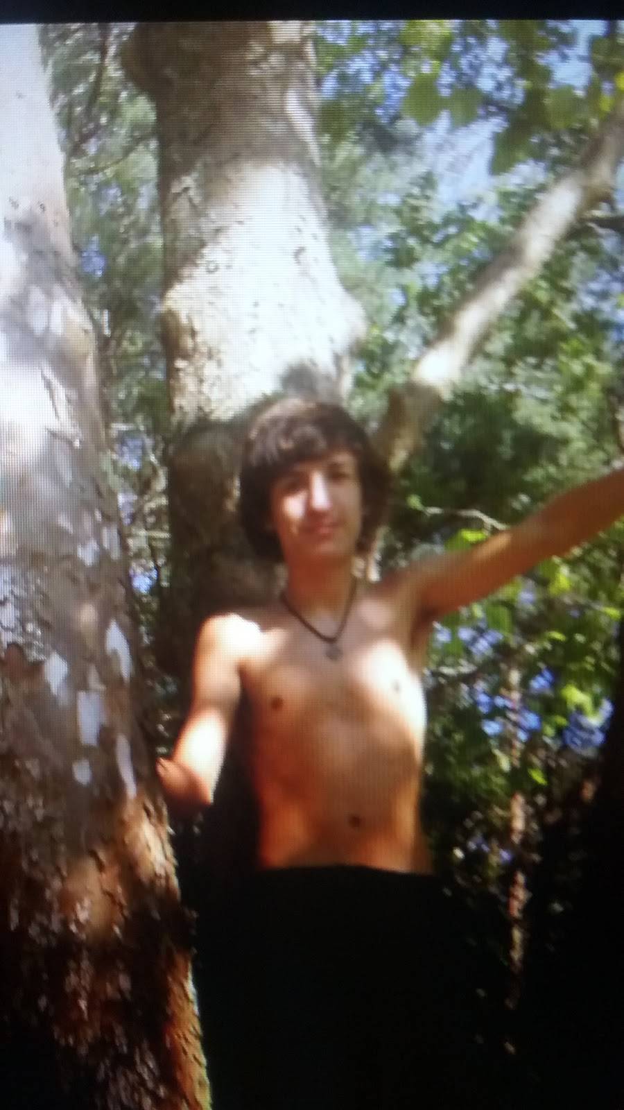 City Limits | restaurant | Tracy City, TN 37387, USA | 9315925500 OR +1 931-592-5500