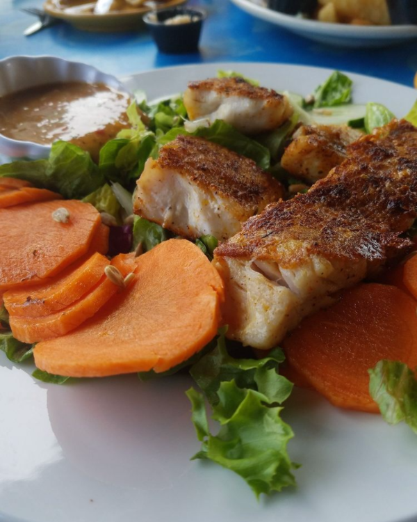 Sea Critters Cafe | cafe | 2007 Pass a Grille Way, St Pete Beach, FL 33706, USA | 7273603706 OR +1 727-360-3706