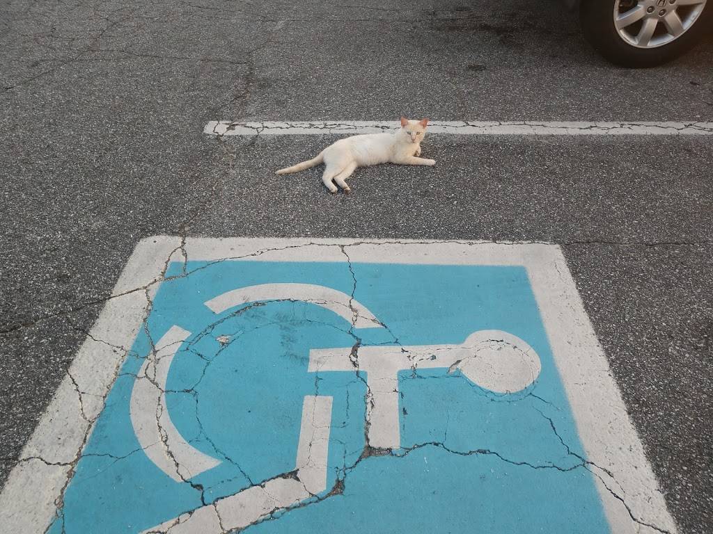 Captain Ds | restaurant | 1004 E 280 Byp, Phenix City, AL 36867, USA | 3342987333 OR +1 334-298-7333