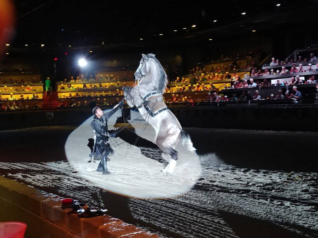 Medieval Times Dinner & Tournament | restaurant | 2904 Fantasy Way, Myrtle Beach, SC 29579, USA | 8432364635 OR +1 843-236-4635