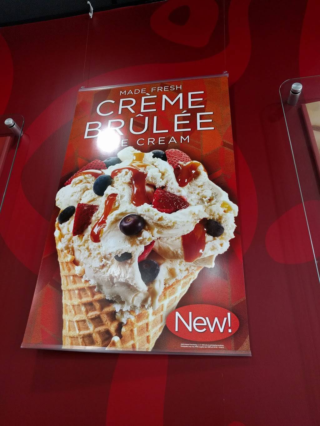 Cold Stone Creamery | bakery | 35607 US Hwy 19 N, Palm Harbor, FL 34684, USA | 7277851300 OR +1 727-785-1300