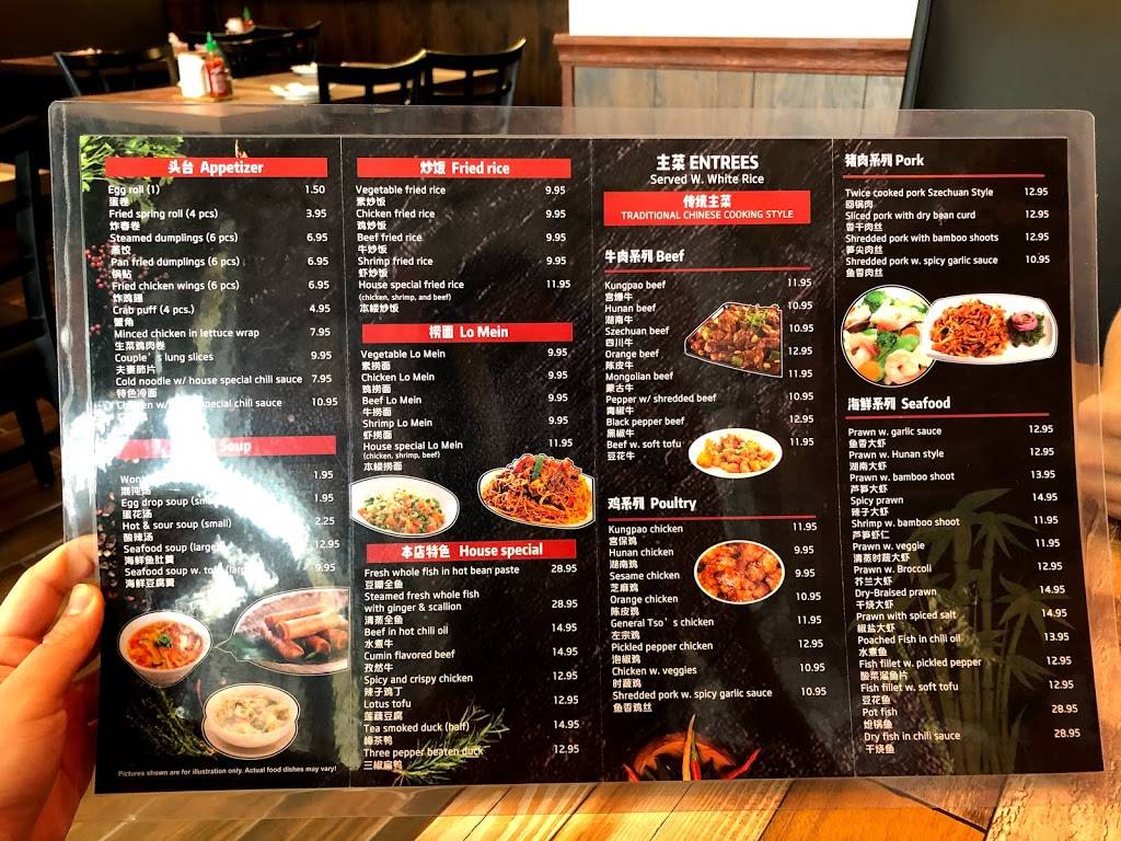 Bamboo Spice | restaurant | 8817 Hwy 6, Missouri City, TX 77459, USA | 2819155265 OR +1 281-915-5265