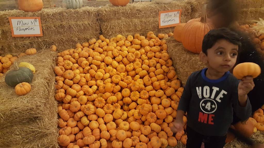 La Poblanita Taco Truck | restaurant | 425 c Lombard St, Thousand Oaks, CA 91360, USA | 8052173034 OR +1 805-217-3034