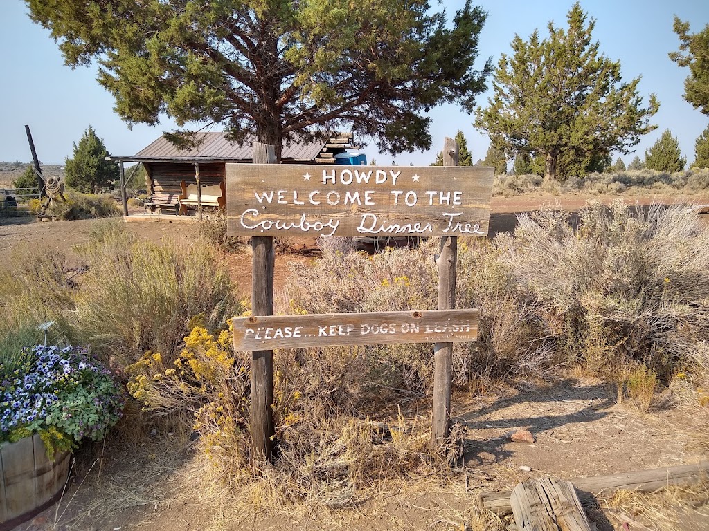 Cowboy Dinner Tree | restaurant | 50836 E. Bay Road County Rd 4, 12 Forest Service Rd #28, Silver Lake, OR 97638, USA | 5415762426 OR +1 541-576-2426