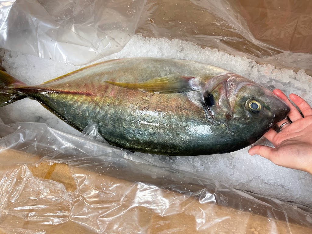 Arashi Yama sushi & hibachi lounge | restaurant | 4780 NW 39th Ave suite 1, Gainesville, FL 32606, USA | 3525056000 OR +1 352-505-6000