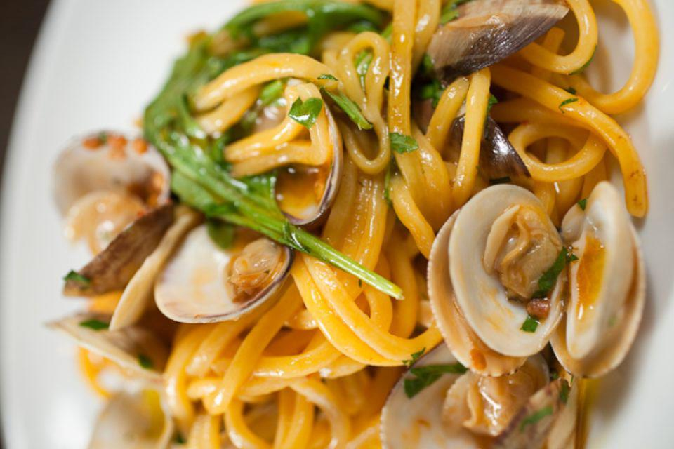 Macchialina | restaurant | 5506, 820 Alton Rd, Miami Beach, FL 33139, USA | 3055342124 OR +1 305-534-2124