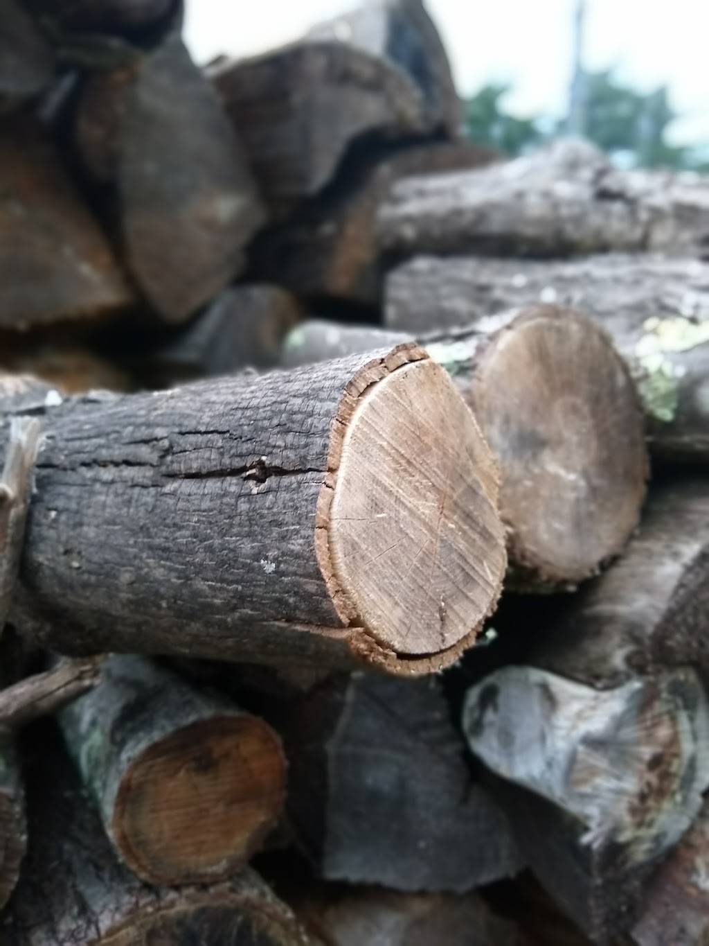 Nussys | restaurant | 57 Ravine Dr, Round Top, NY 12473, USA | 5186229584 OR +1 518-622-9584