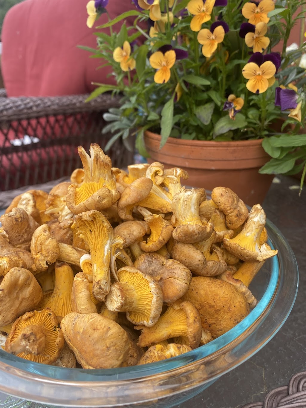 The Wok of Joy | restaurant | 200 W Colorado Ave, Telluride, CO 81435, USA | 9707080149 OR +1 970-708-0149