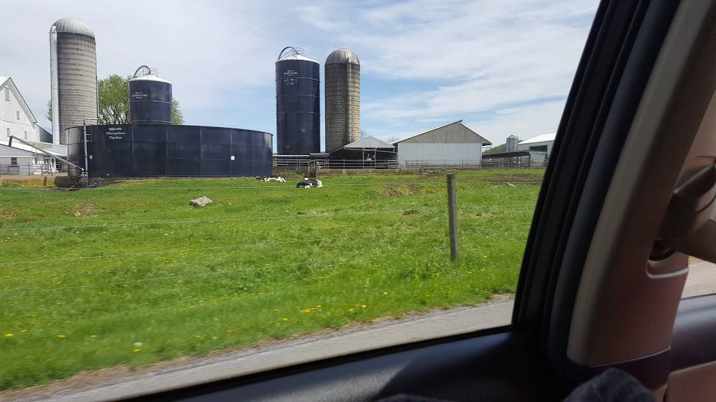 Hardees | restaurant | 301 N 2nd St, Dillon, SC 29536, USA | 8437749581 OR +1 843-774-9581