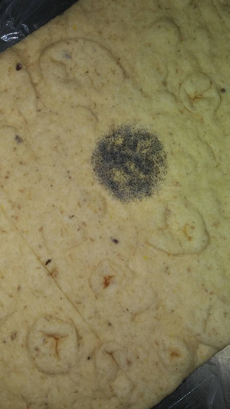 Subway Restaurants | restaurant | 35404 US Hwy 19 N, Palm Harbor, FL 34684, USA | 7277856494 OR +1 727-785-6494