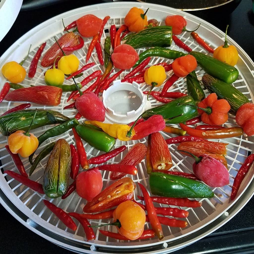 Tlaquepaque Mexican Restaurant | restaurant | 11206 Capital Blvd, Wake Forest, NC 27587, USA | 9195542544 OR +1 919-554-2544