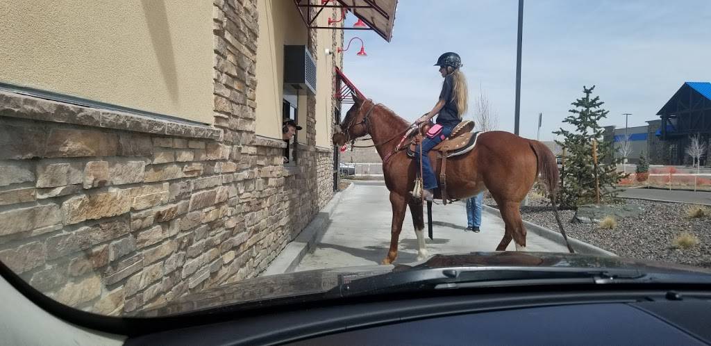 Freddys Frozen Custard & Steakburgers | restaurant | Crown Point Center, 18424 Cottonwood Dr, Parker, CO 80138, USA | 3038058855 OR +1 303-805-8855