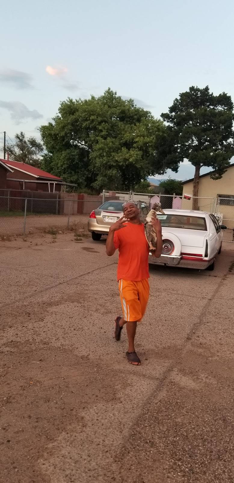 El Rey Del Pollo #2 | restaurant | 1720 Bridge Blvd SW #2, Albuquerque, NM 87105, USA | 5052670219 OR +1 505-267-0219