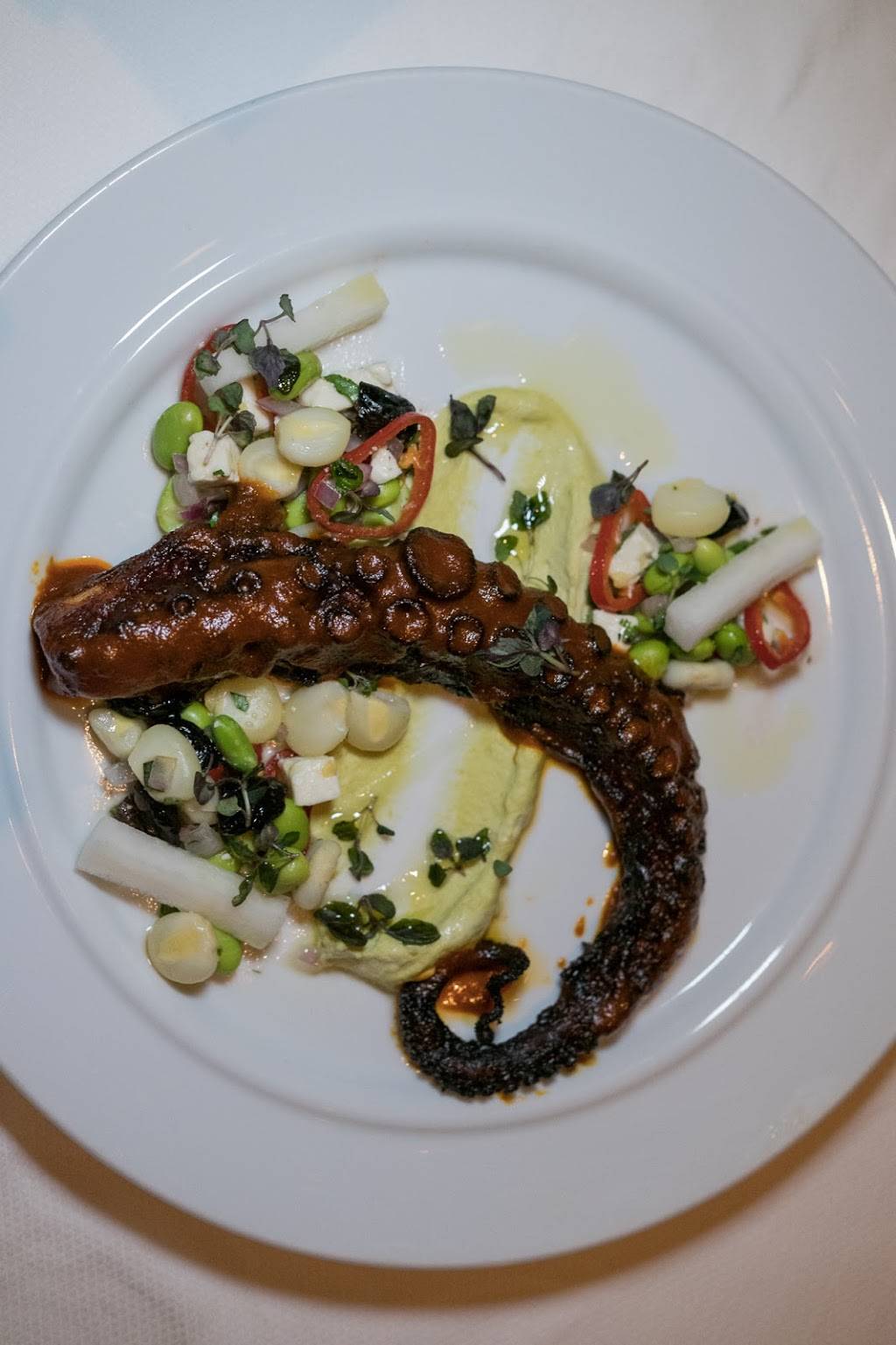 Diplomat Prime | restaurant | 3555 S Ocean Dr, Hollywood, FL 33019, USA | 9546028331 OR +1 954-602-8331