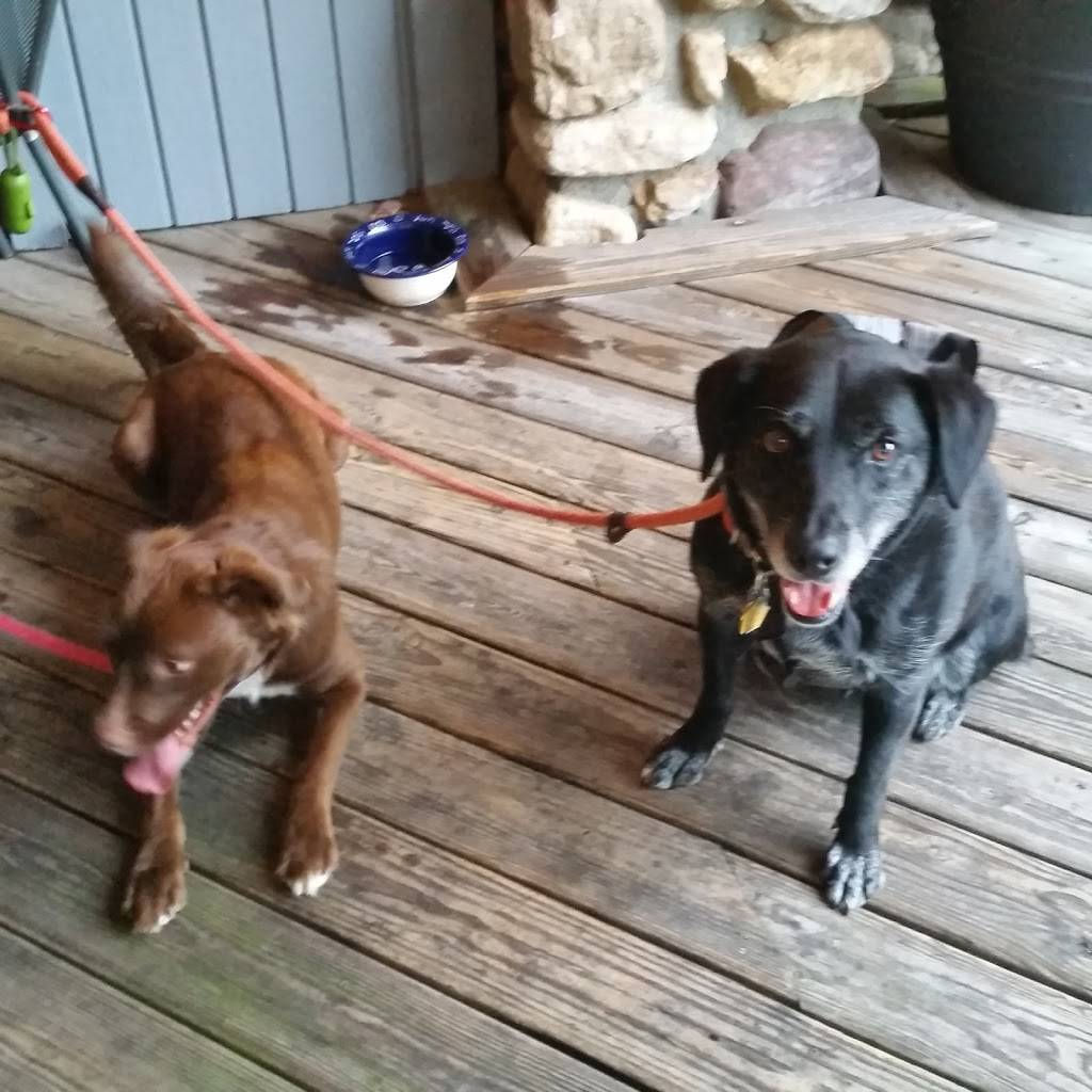 Sawmill Tap Room | restaurant | 7701 Lead Mine Rd, Raleigh, NC 27615, USA | 9198457889 OR +1 919-845-7889