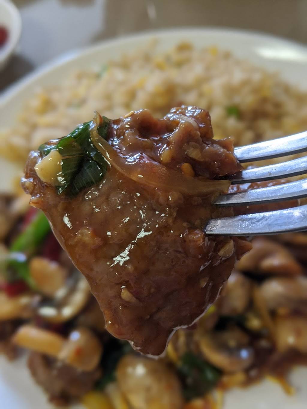 Canton Restaurant, Scotts Valley | restaurant | 224 Mt Hermon Rd, Scotts Valley, CA 95066, USA | 8314382002 OR +1 831-438-2002