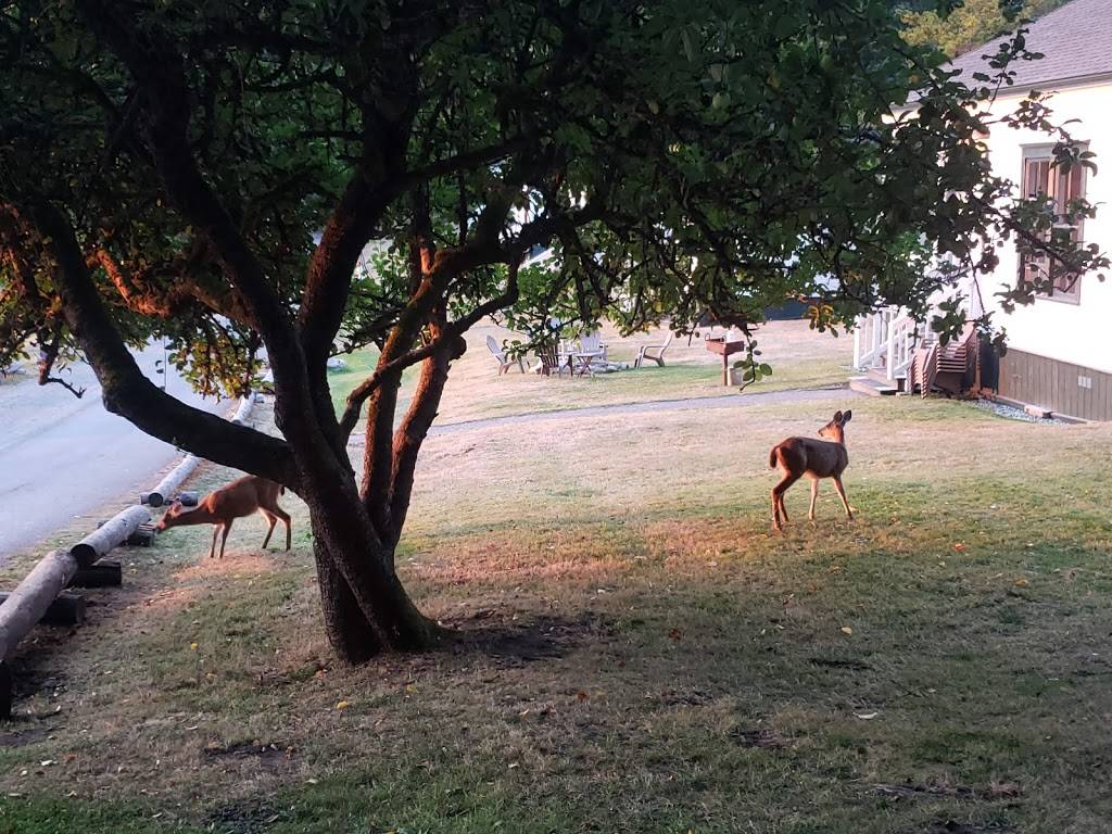 McMillins Dining Room | restaurant | 248 Reuben Memorial Dr, Friday Harbor, WA 98250, USA | 3603785757 OR +1 360-378-5757