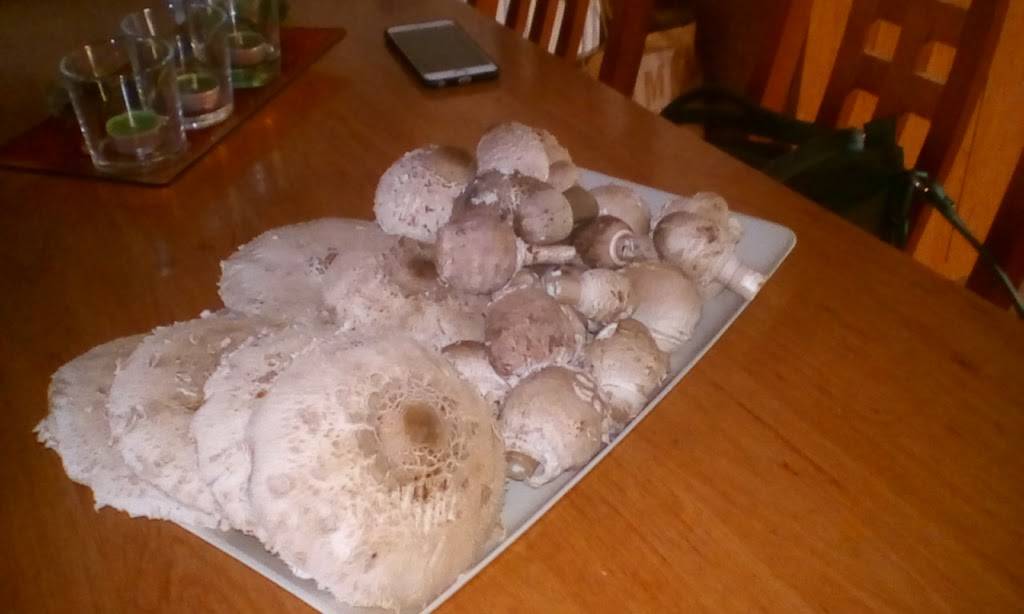 Subway | meal takeaway | 1201 E Main St Space A, Santa Maria, CA 93454, USA | 8059224521 OR +1 805-922-4521