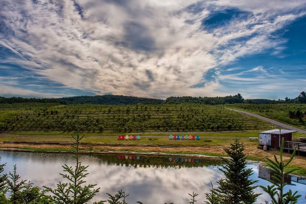 Roses Berry Farm | restaurant | 295 Matson Hill Rd, South Glastonbury, CT 06073, USA | 8606337467 OR +1 860-633-7467