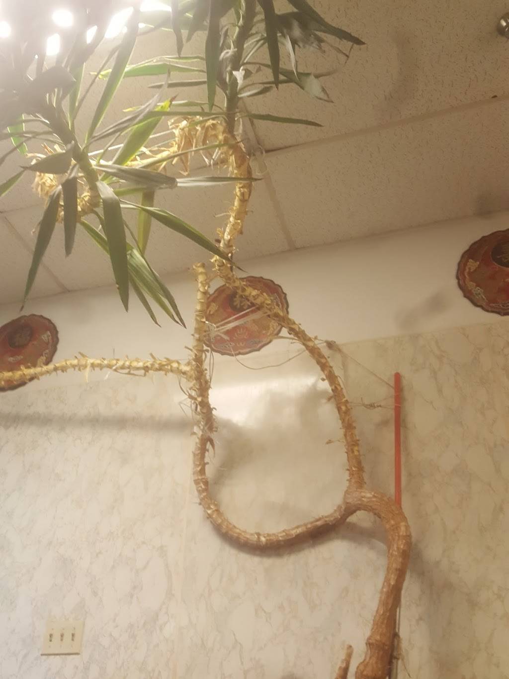 House of Chen | restaurant | 9751 St Charles Rock Rd, St. Louis, MO 63114, USA | 3144235443 OR +1 314-423-5443