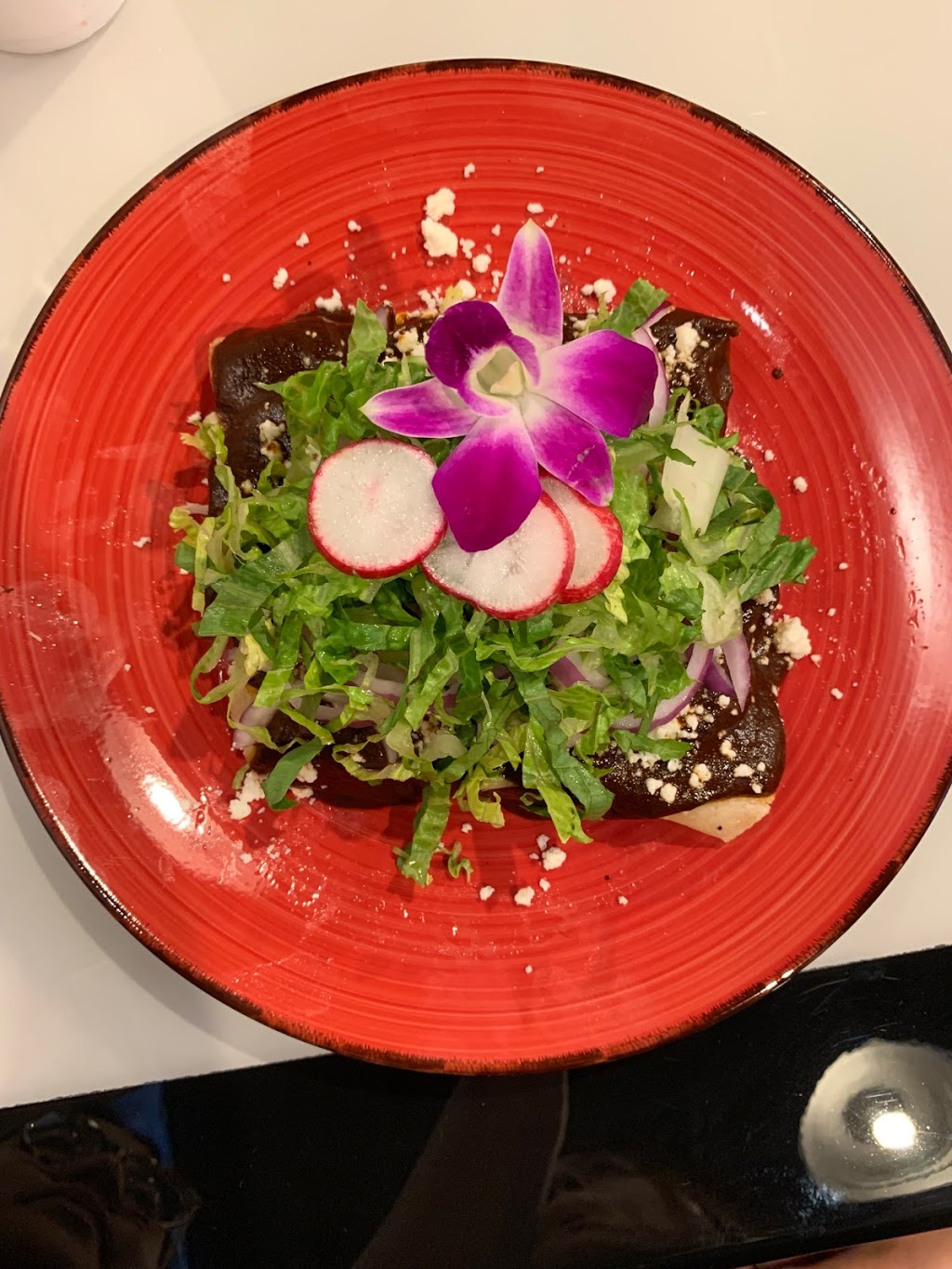 Cataleya Cantina | restaurant | 9314 Kingston Pike, Knoxville, TN 37922, USA | 8659510419 OR +1 865-951-0419