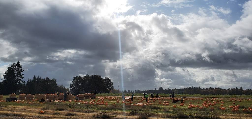 Fir Point Farms | bakery | 14601 Arndt Rd, Aurora, OR 97002, USA | 5036782455 OR +1 503-678-2455