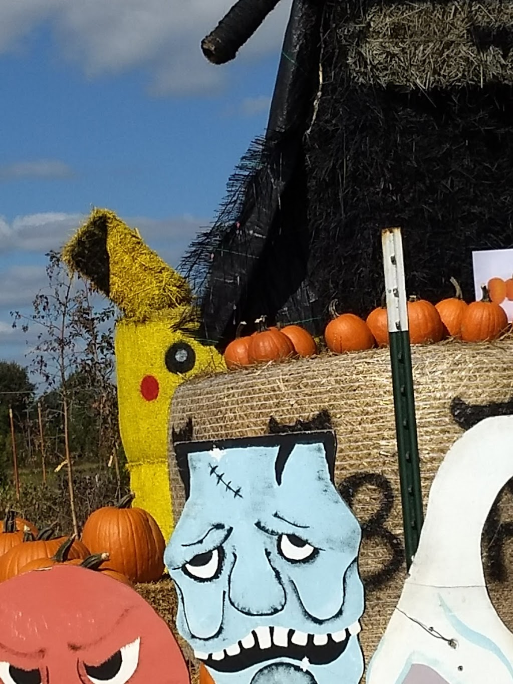 Blakes Backyard Almont | bakery | 5600 Van Dyke Rd, Almont, MI 48003, USA | 8107983251 OR +1 810-798-3251