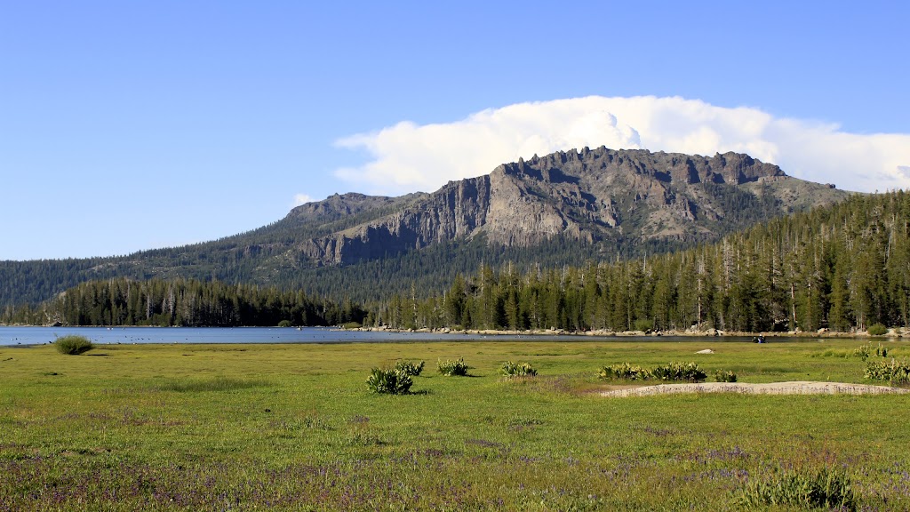 Plasses Resort | restaurant | 30001 Plasse Rd, Pioneer, CA 95666, USA | 2092588814 OR +1 209-258-8814