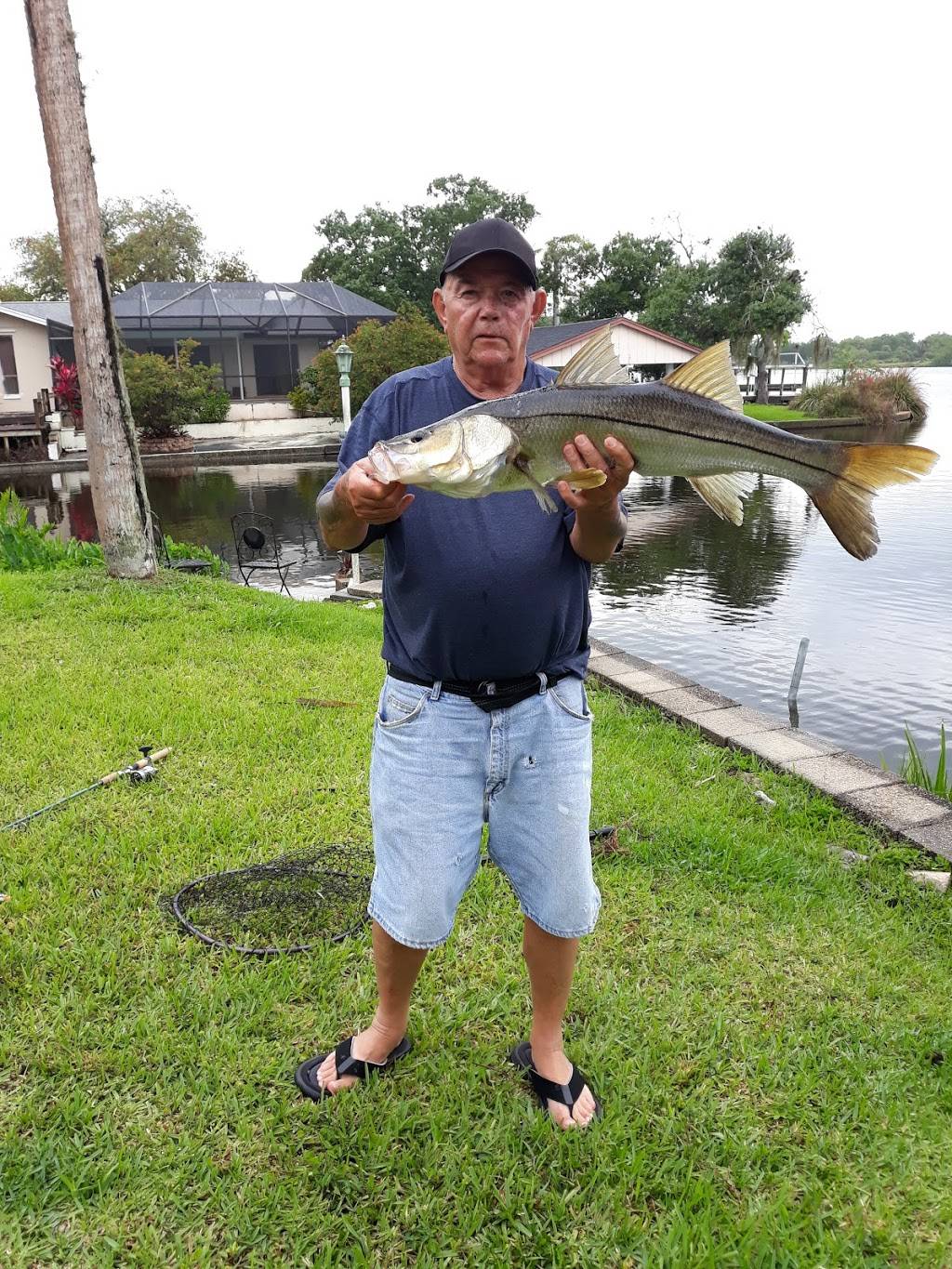 The Olga Mall | restaurant | 2319 S Olga Dr, Fort Myers, FL 33905, USA | 2396944003 OR +1 239-694-4003