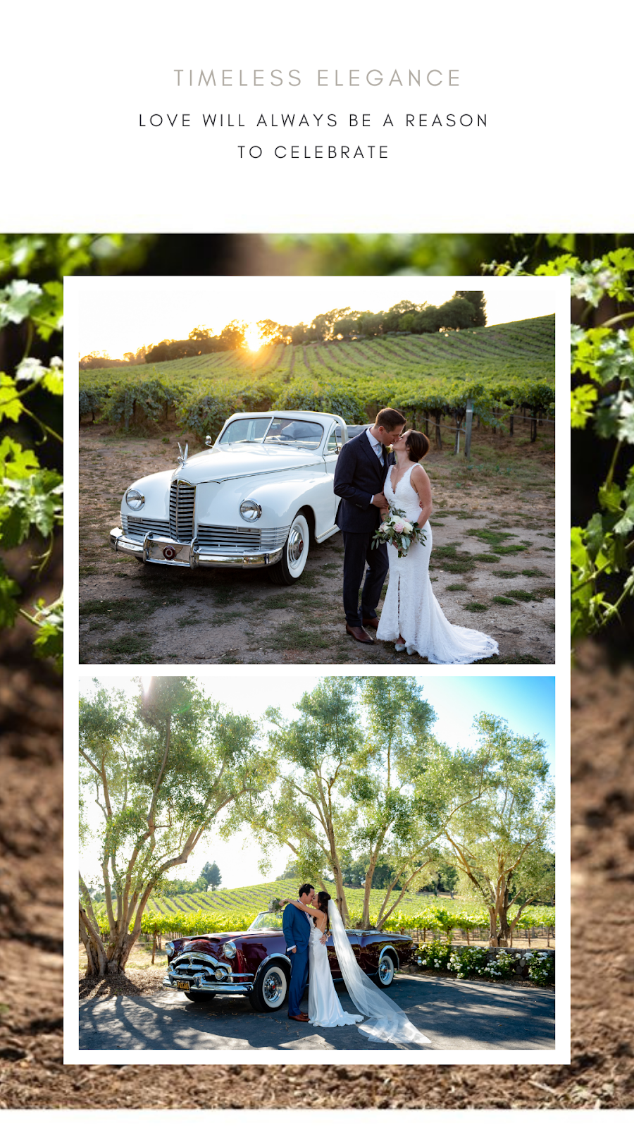 Ackerman Family Vineyards at the Ackerman Heritage House | cafe | 608 Randolph St, Napa, CA 94559, USA | 8552389463 OR +1 855-238-9463