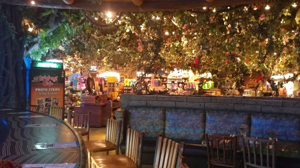 Rainforest Cafe | restaurant | 5 Woodfield Mall D121, Schaumburg, IL 60173, USA | 8476191900 OR +1 847-619-1900